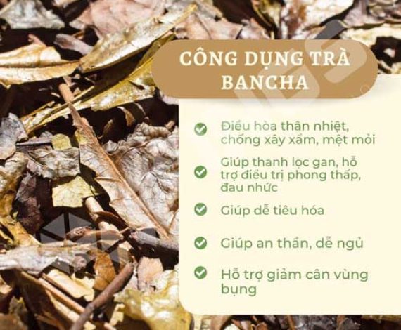 cong-dung-tra-ban-cha-wingsfood